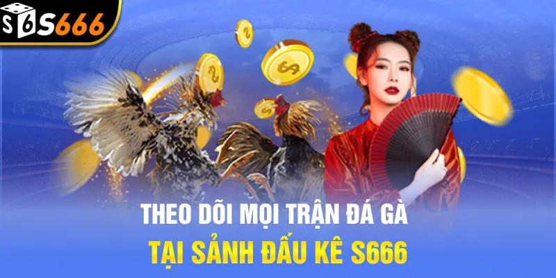 Theo dõi mọi trận đá gà tại sảnh đấu kê S666